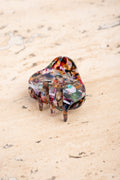 Broche - Multi