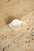 Broche de Concha Pérola