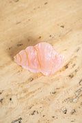Broche de Concha Pérola